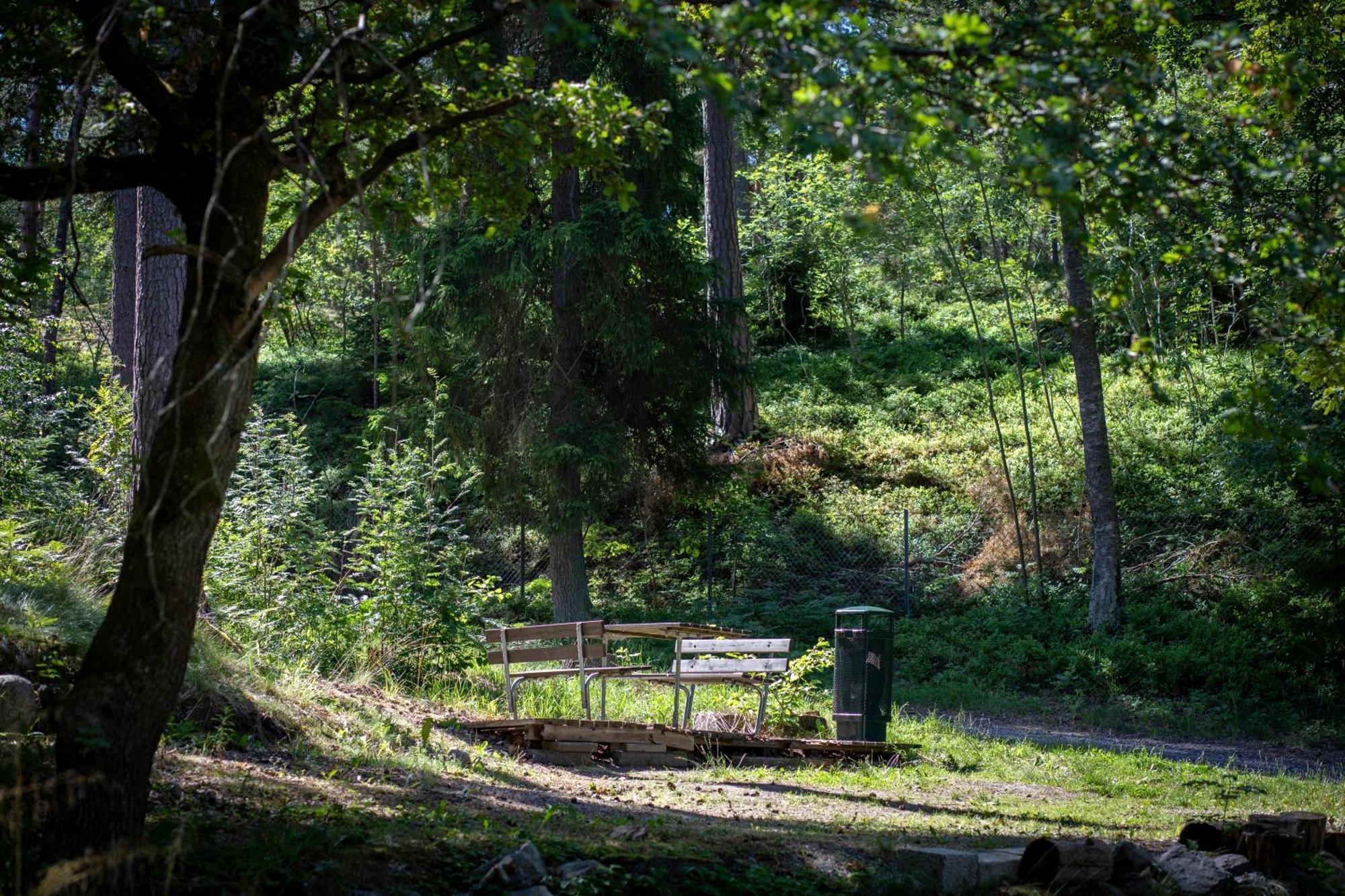 Campingplatz Aengby 2*
